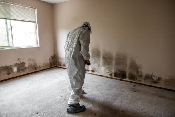 Best Mold Remediation for Healthcare Facilities  in Thiells, NY